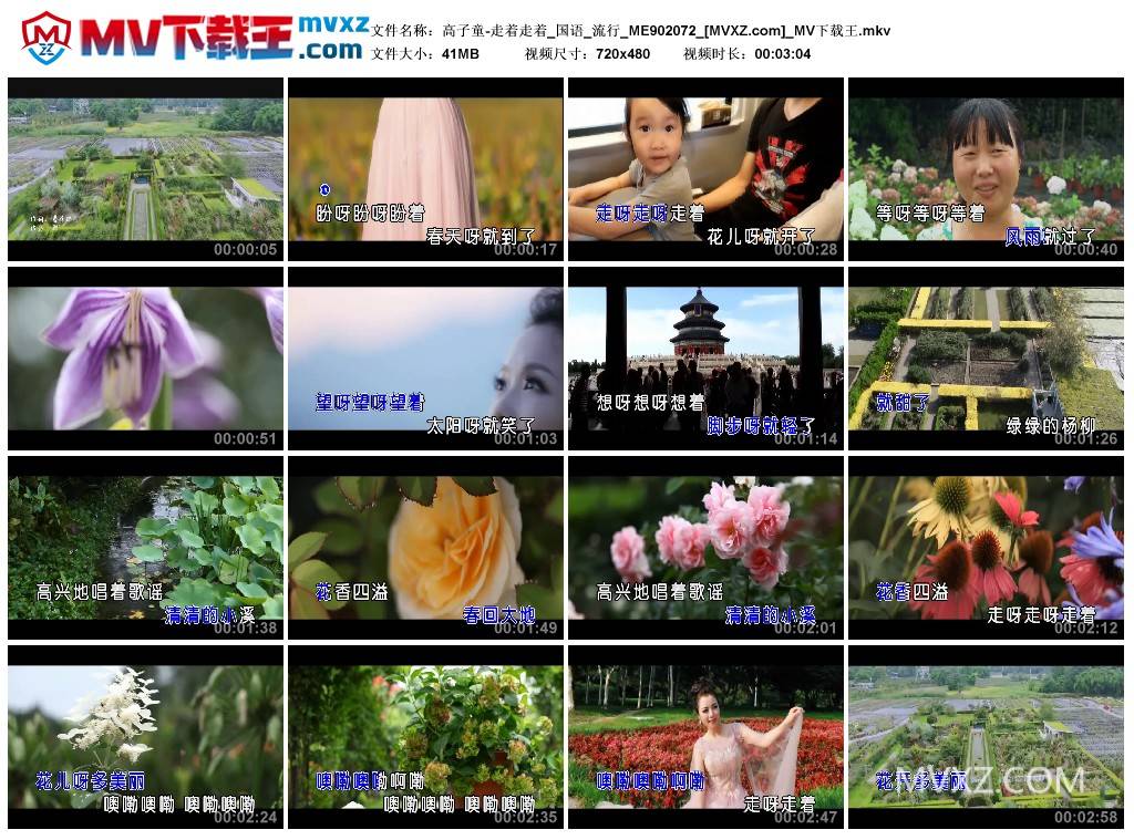 高子童-走着走着_国语_流行_ME902072